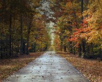 Changing Season 2 Fine Art Print