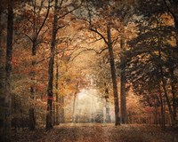 Clearing Fine Art Print