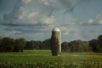 Country Beacon Fine Art Print