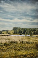 Country Ensemble Fine Art Print