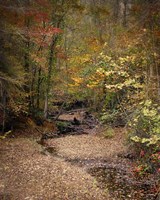Creek Bed In Autumn Fine Art Print