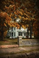 Diamond In Autumn Fine Art Print