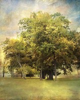 Divinity Fine Art Print