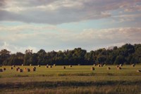 Facing The Sun Fine Art Print