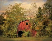 Forgotten Treasure Fine Art Print