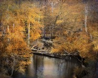 Golden Blessings Fine Art Print