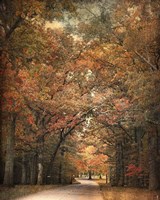 Grove Of Memories Fine Art Print