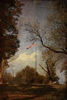 I Pledge Allegiance Fine Art Print