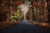 It's Not Easy Being Green Fine Art Print