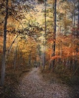 Journey Within Fine Art Print