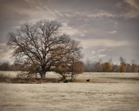 Lazy Autumn Day Fine Art Print