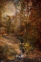 Make A Wish Fine Art Print