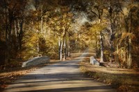 Mingling With Beauty Fine Art Print