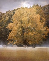 Morning On The Battlefield Fine Art Print