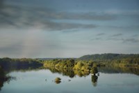 Morning Reflection Fine Art Print