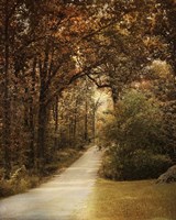 Morning Walk Fine Art Print