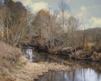 Natures Glory Fine Art Print