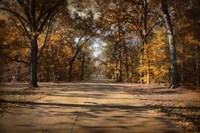 Open For Beauty Fine Art Print