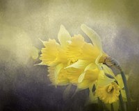 Out Of The Darkness Fine Art Print