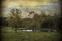 Quiet At The Pond Fine Art Print