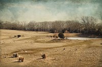 Sheep In The Meadow Fine Art Print