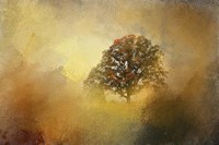 Splendor Fine Art Print