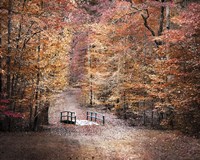 The Little Blue Bridge Fine Art Print