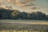 The Old Farm At Sunrise Fine Art Print