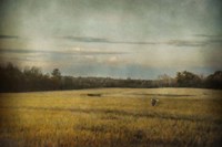 The Sunrise Hour Fine Art Print