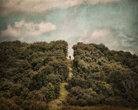 Uphill Climb Fine Art Print