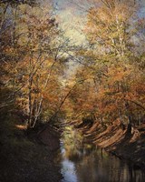 Upstream Fine Art Print