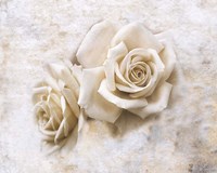 Vintage Rose 4 Fine Art Print