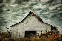 Where The Crows Roost In Autumn Fine Art Print