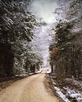 Winter Paradise Fine Art Print