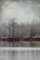 Winter Solitude Fine Art Print