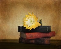 The Classics Fine Art Print