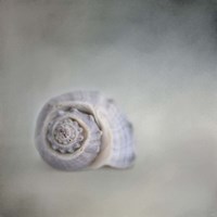 Treasure From The Deep Fine Art Print