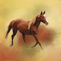 A Dash Of Chestnut Mare Fine Art Print