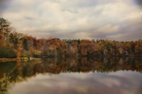 Autumn At Lake LaJoie 1 Fine Art Print
