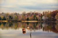 Autumn At Lake LaJoie 3 Fine Art Print