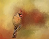 Backyard Jewel Fine Art Print