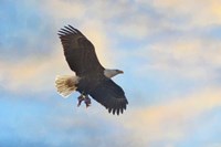 Bringing In The Leftovers Fine Art Print