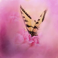 Butterfly On The Azaleas Fine Art Print