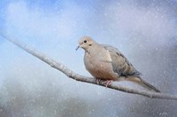 Dove In The Snow Fine Art Print