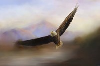 Eagle At The Mountain Fine Art Print