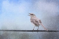 Mockingbird In The Snow Framed Print