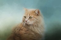 Over Her Shoulder Fine Art Print