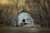 Redtail At The Blue Barn Fine Art Print