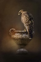 Sacred Moment Fine Art Print