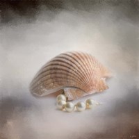 Sea Shell and Pearls Fine Art Print